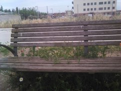 Parque ple de herbes i matolls