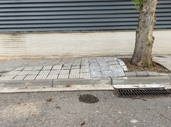 Aixecament de les voreres i acumulació de fulles a les clavegueres per culpa dels arbres