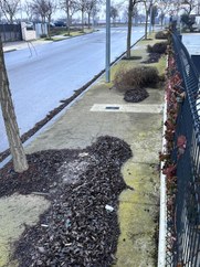 manteniment dels carrers