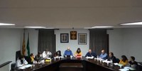 Resum del Ple ordinari del passat 18 de gener de 2018  